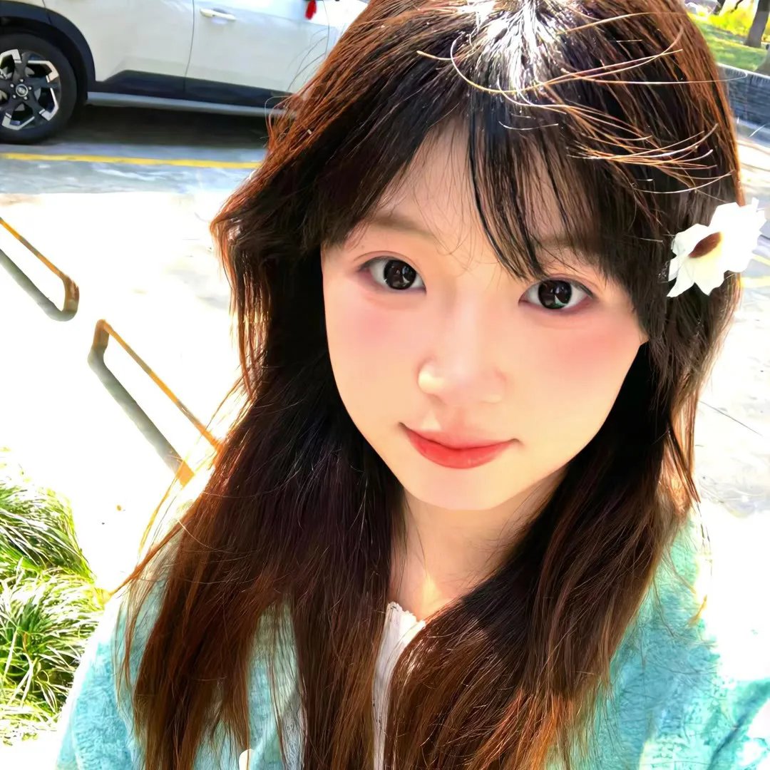 高清二区