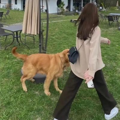 骑弹飞行