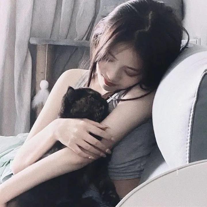 多情猫